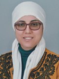 Dr. Öğr. Üyesi Meral MELEKOĞLU